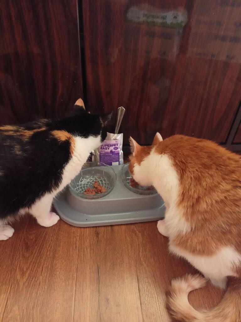 Изображение #1 от Анастасия Березенко