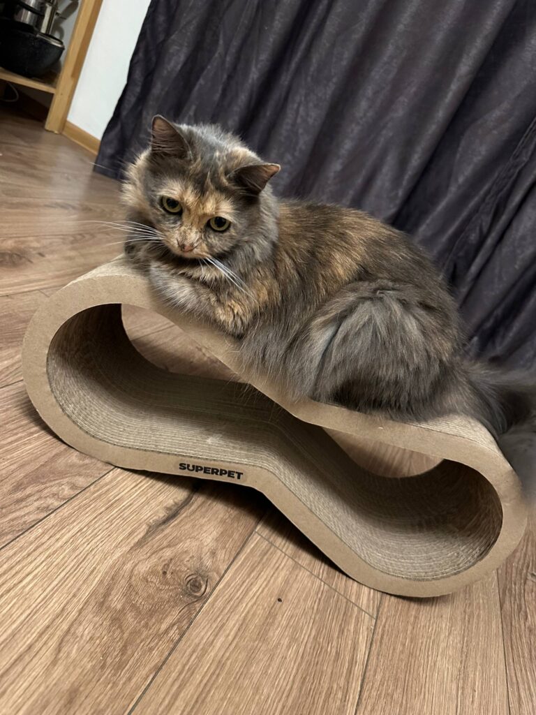 Изображение #1 от Рудик