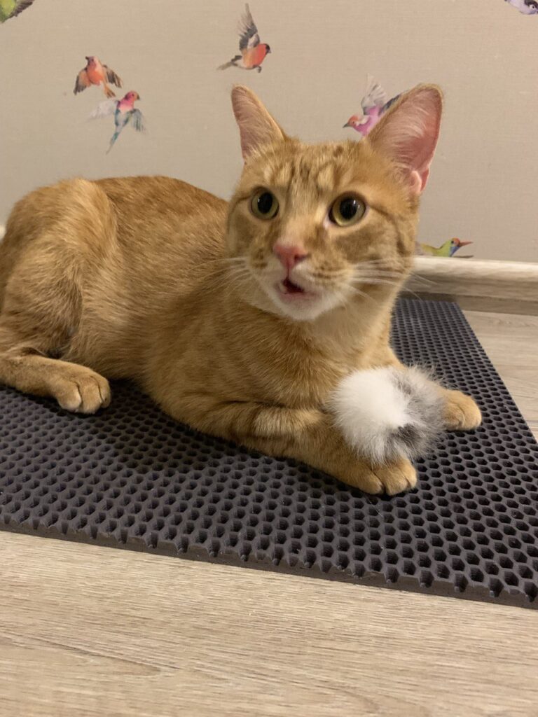 Изображение #3 от Татьяна