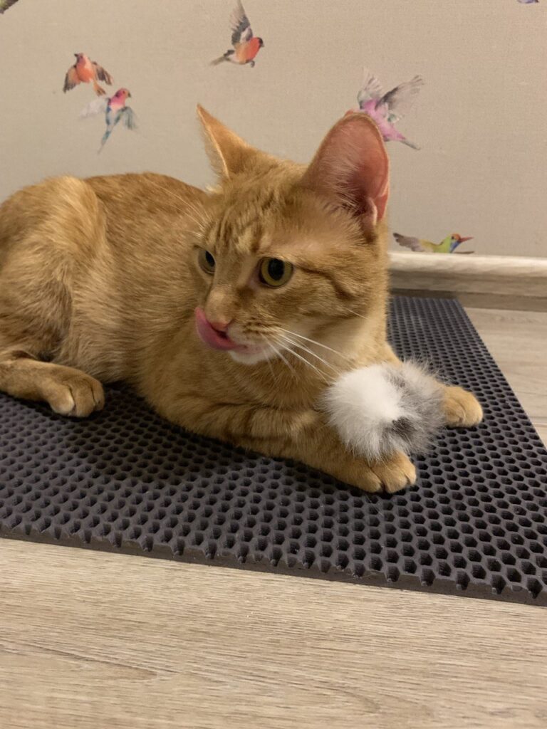 Изображение #1 от Татьяна