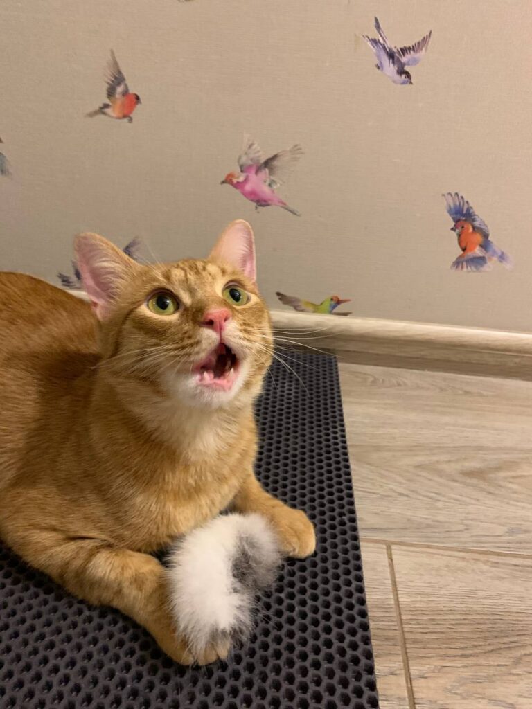 Изображение #2 от Татьяна