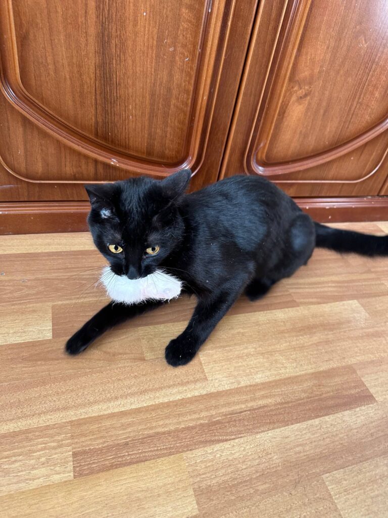 Изображение #2 от Светлана