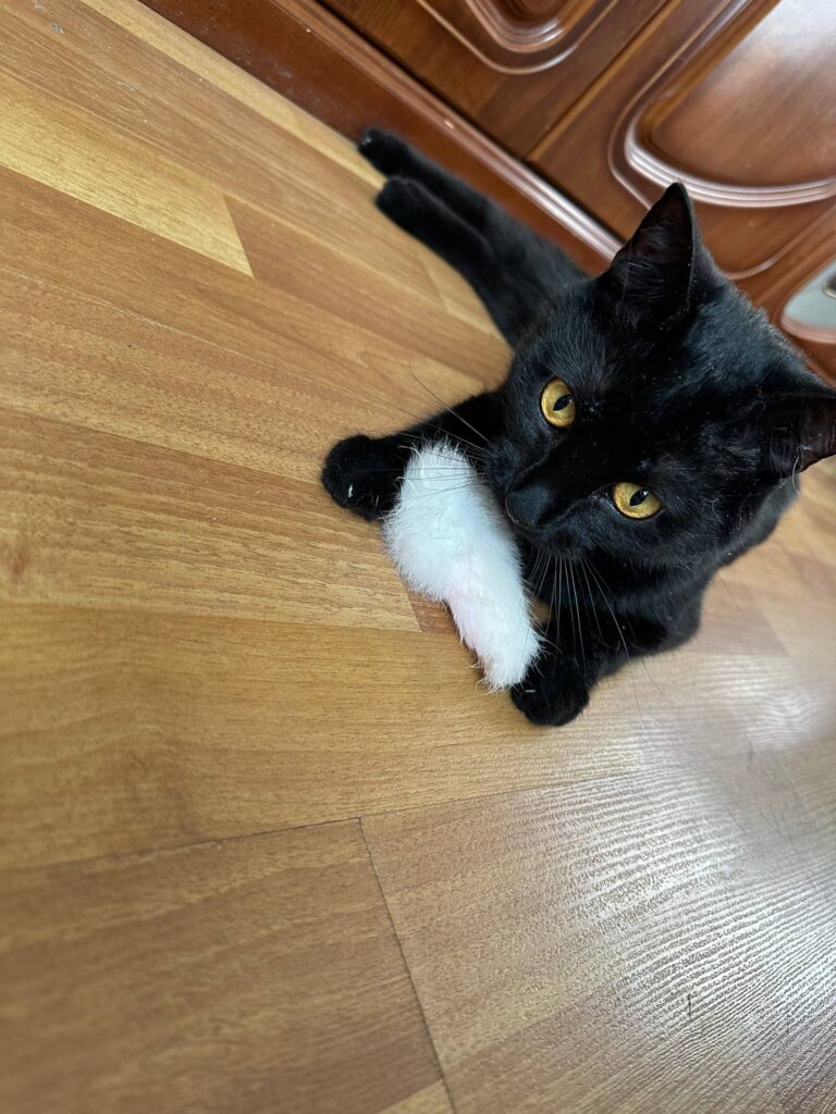 Изображение #1 от Светлана