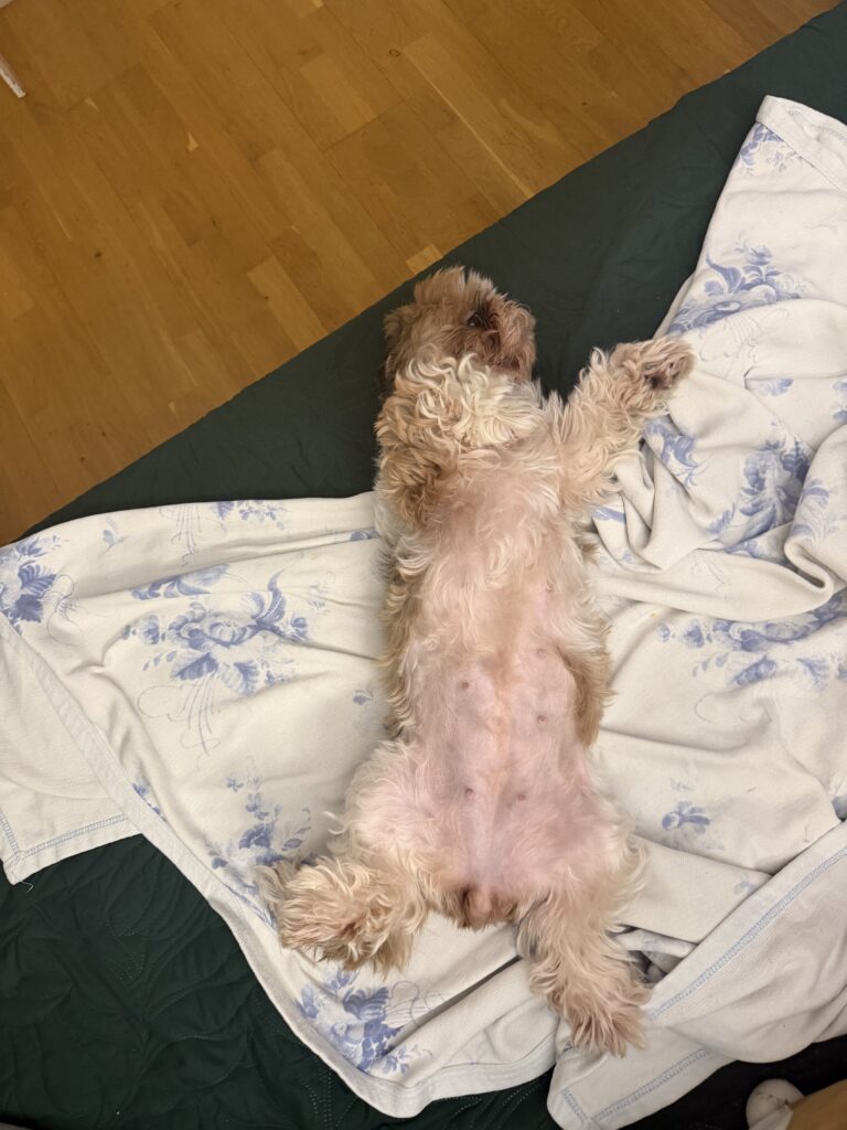 Изображение #1 от Виктория