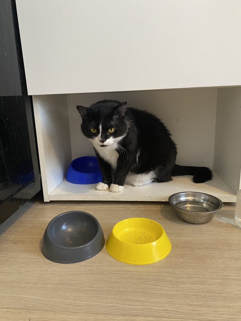 Изображение #1 от Владимир Зверев