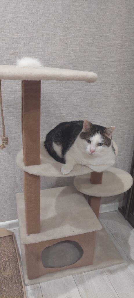 Изображение #1 от Наталья Дубовицкая