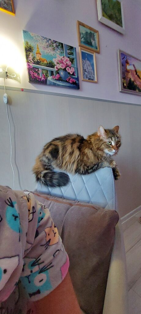 Изображение #1 от Наталья Дубовицкая