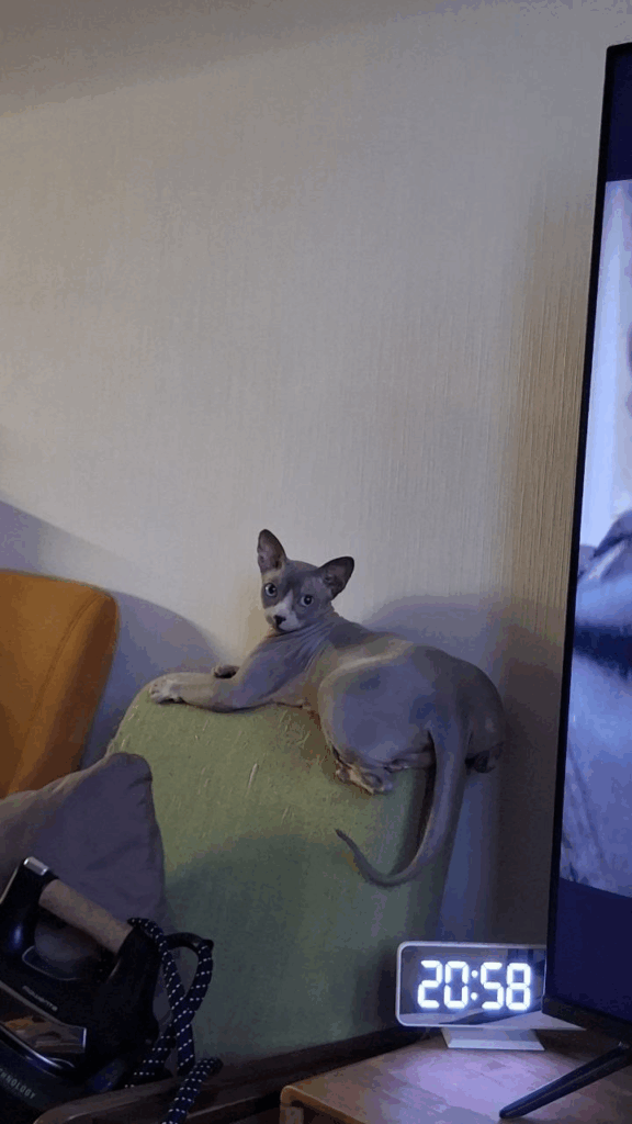 image1 Я думала, что даю лучшее — пока Луна не заболела - SUPERPET