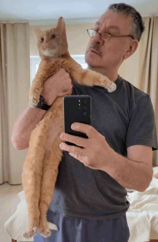 image13 Я почти потеряла своего кота, а потом произошло чудо - SUPERPET