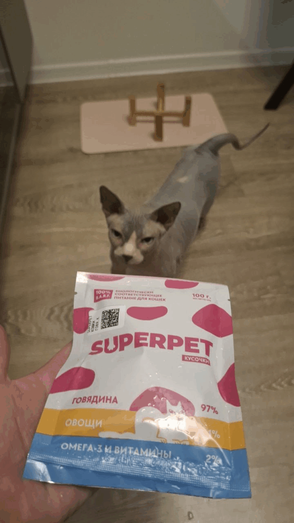 image2 Я думала, что даю лучшее — пока Луна не заболела - SUPERPET