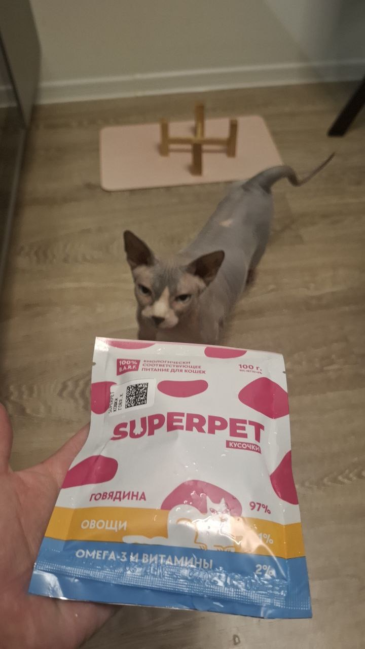 Я думала, что даю лучшее — пока Луна не заболела - SUPERPET