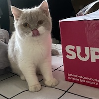 Главная 2026 - SUPERPET