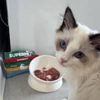 SUPERPET