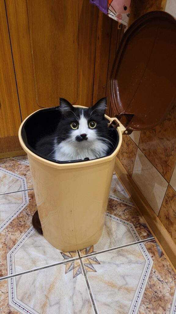 Изображение #2 от 79522061190
